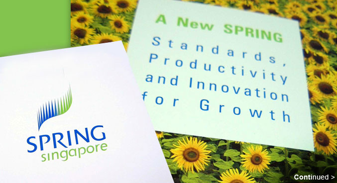 SPRING Singapore Corporate Identity